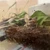 あやまる