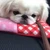 TONCHAN