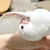 くみん