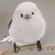 Ｙ