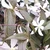 userSQVIXEsdn7Q
