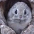 さつまいも