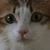 時給上がりました