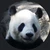 Panda.san