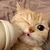 チュンケイ