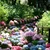 camellia_17