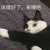 ササエル
