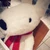 きのこ