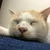 たーかーさーん