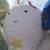 藻