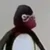 び