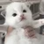 うまい太郎