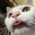 モナモナ