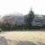 TakaariShimada