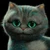 黒猫