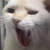 栞