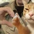 りゅ