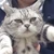 ゆり