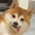 て