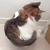 めありぃ