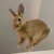 なつきち