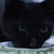 hiroshi