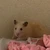 user_3618