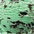mintchip