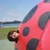わしず