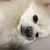 ひっさそ