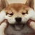 あみ