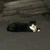 らっこ