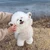 え