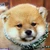 ゆうきち