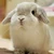 うーたん