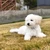 ひかる
