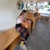 user723723723