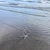 みゃり