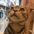 tom