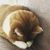 すず
