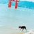 hinamamoru