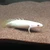 Nectarねて