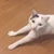 なぴゅも
