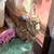 ねっころ