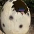 ひろまる