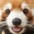 瑠菜