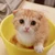 るーちゃん