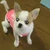 chip