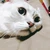 すがい