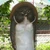 した